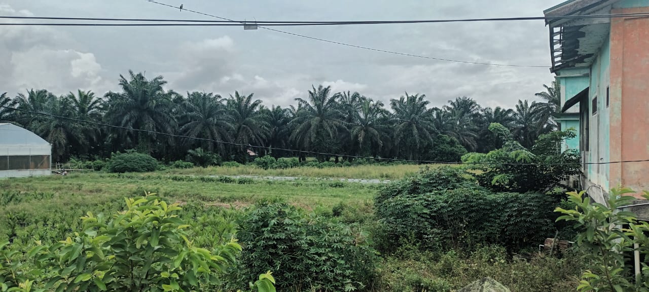 Lingkungan dan sarana sekolah