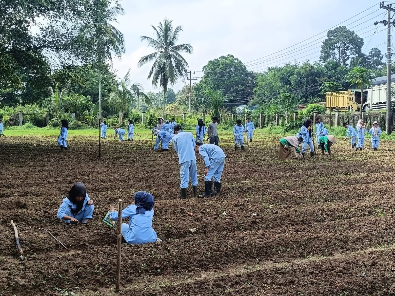 Siswa SMK PP Negeri Batang Hari melakukan praktik di lahan pertanian sekolah